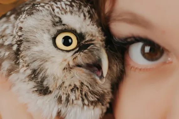 MatchUp Casino Ënnerstëtzung